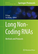 Long Non-Coding RNAs [E-Book] : Methods and Protocols /