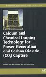 Calcium and chemical looping technology for power generation and carbon dioxide (CO2) capture /