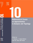 Ten mathematical essays on approximation in analysis and topology [E-Book] /