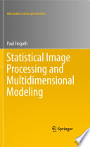 Statistical Image Processing and Multidimensional Modeling [E-Book] /
