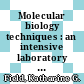Molecular biology techniques : an intensive laboratory course [E-Book] /