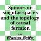 Spinors on singular spaces and the topology of causal fermion systems [E-Book] /