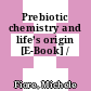 Prebiotic chemistry and life’s origin [E-Book] /