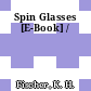 Spin Glasses [E-Book] /