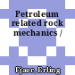 Petroleum related rock mechanics /