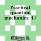 Practical quantum mechanics. 1 /