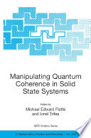 Manipulating Quantum Coherence in Solid State Systems [E-Book] /