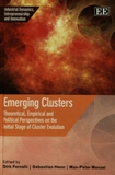 Emerging clusters : theoretical, empirical and political perspectives on the initial stage of cluster evolution /
