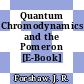 Quantum Chromodynamics and the Pomeron [E-Book] /