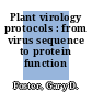 Plant virology protocols : from virus sequence to protein function /