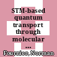 STM-based quantum transport through molecular wires /