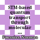 STM-based quantum transport through molecular wires [E-Book] /