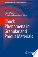 Shock Phenomena in Granular and Porous Materials [E-Book] /