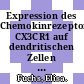 Expression des Chemokinrezeptors CX3CR1 auf dendritischen Zellen von Kindern nach schwerer Respiratory Syncytial Virusinfektion und von gesunden Kindern /