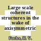 Large scale coherent structures in the wake of axisymmetric bodies.