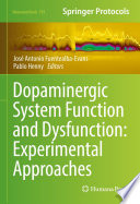 Dopaminergic System Function and Dysfunction: Experimental Approaches [E-Book] /