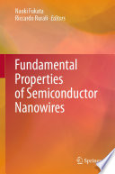Fundamental Properties of Semiconductor Nanowires [E-Book] /