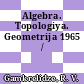 Algebra. Topologiya. Geometrija 1965 /