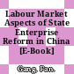 Labour Market Aspects of State Enterprise Reform in China [E-Book] /