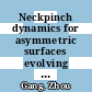 Neckpinch dynamics for asymmetric surfaces evolving by mean curvature flow [E-Book] /