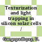 Texturization and light trapping in silicon solar cells / [E-Book]