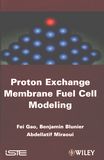 Proton exchange membrane fuel cell modeling /