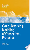 Cloud-resolving modeling of convective processes [E-Book] /