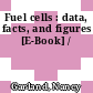 Fuel cells : data, facts, and figures [E-Book] /