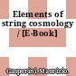 Elements of string cosmology / [E-Book]