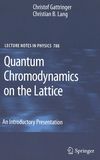 Quantum chromodynamics on the lattice : an introductory presentation /