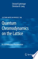 Quantum Chromodynamics on the Lattice [E-Book] : An Introductory Presentation /
