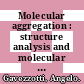 Molecular aggregation : structure analysis and molecular simulation of crystals and liquids [E-Book] /