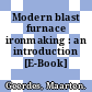 Modern blast furnace ironmaking : an introduction [E-Book] /