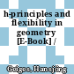 h-principles and flexibility in geometry [E-Book] /