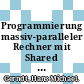 Programmierung massiv-paralleler Rechner mit Shared Virtual Memory /
