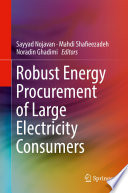Robust Energy Procurement of Large Electricity Consumers [E-Book] /