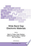 Wide Band Gap Electronic Materials [E-Book] /
