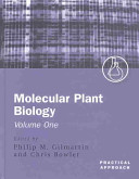 Molecular plant biology. 1 : a practical approach /