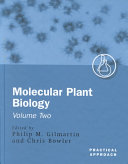 Molecular plant biology. 2 : a practical approach /