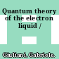 Quantum theory of the electron liquid /