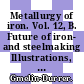 Metallurgy of iron. Vol. 12, B. Future of iron- and steelmaking Illustrations, english and german subject index.
