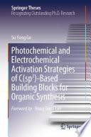 Photochemical and Electrochemical Activation Strategies of C(sp3)-Based Building Blocks for Organic Synthesis [E-Book] /