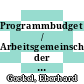 Programmbudget / Arbeitsgemeinschaft der Grossforschungseinrichtungen. 1985.