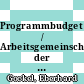 Programmbudget / Arbeitsgemeinschaft der Grossforschungseinrichtungen. 1989.