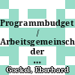 Programmbudget / Arbeitsgemeinschaft der Grossforschungseinrichtungen. 1990.
