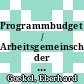 Programmbudget / Arbeitsgemeinschaft der Grossforschungseinrichtungen. 1991.