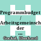 Programmbudget / Arbeitsgemeinschaft der Grossforschungseinrichtungen. 1993.