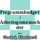 Programmbudget / Arbeitsgemeinschaft der Grossforschungseinrichtungen. 1995.