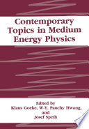 Contemporary Topics in Medium Energy Physics [E-Book] /