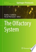 The Olfactory System [E-Book] /
